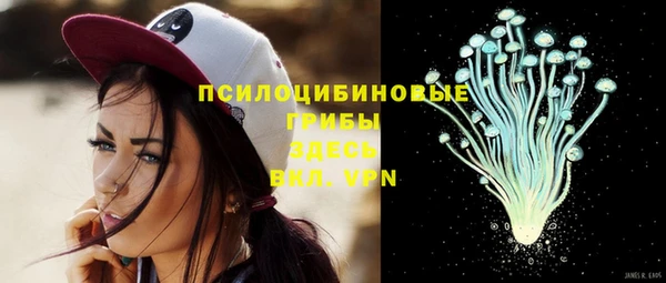 ALPHA PVP Алексеевка