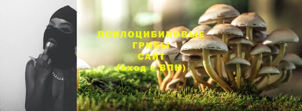 ПСИЛОЦИБИНОВЫЕ ГРИБЫ Алзамай