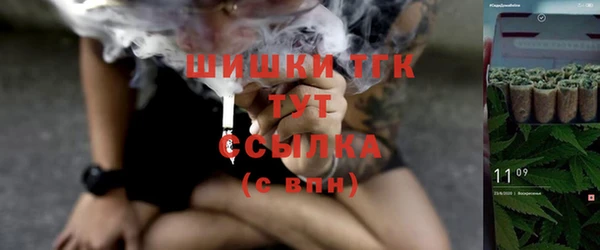 ПСИЛОЦИБИНОВЫЕ ГРИБЫ Алексин