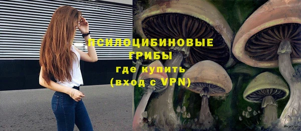 ПСИЛОЦИБИНОВЫЕ ГРИБЫ Алексин
