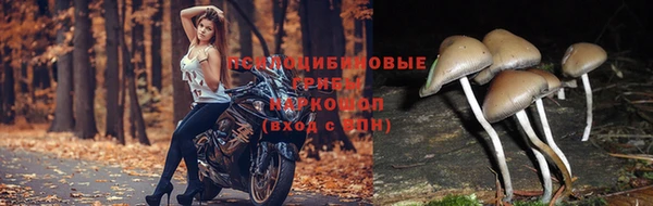герыч Арсеньев